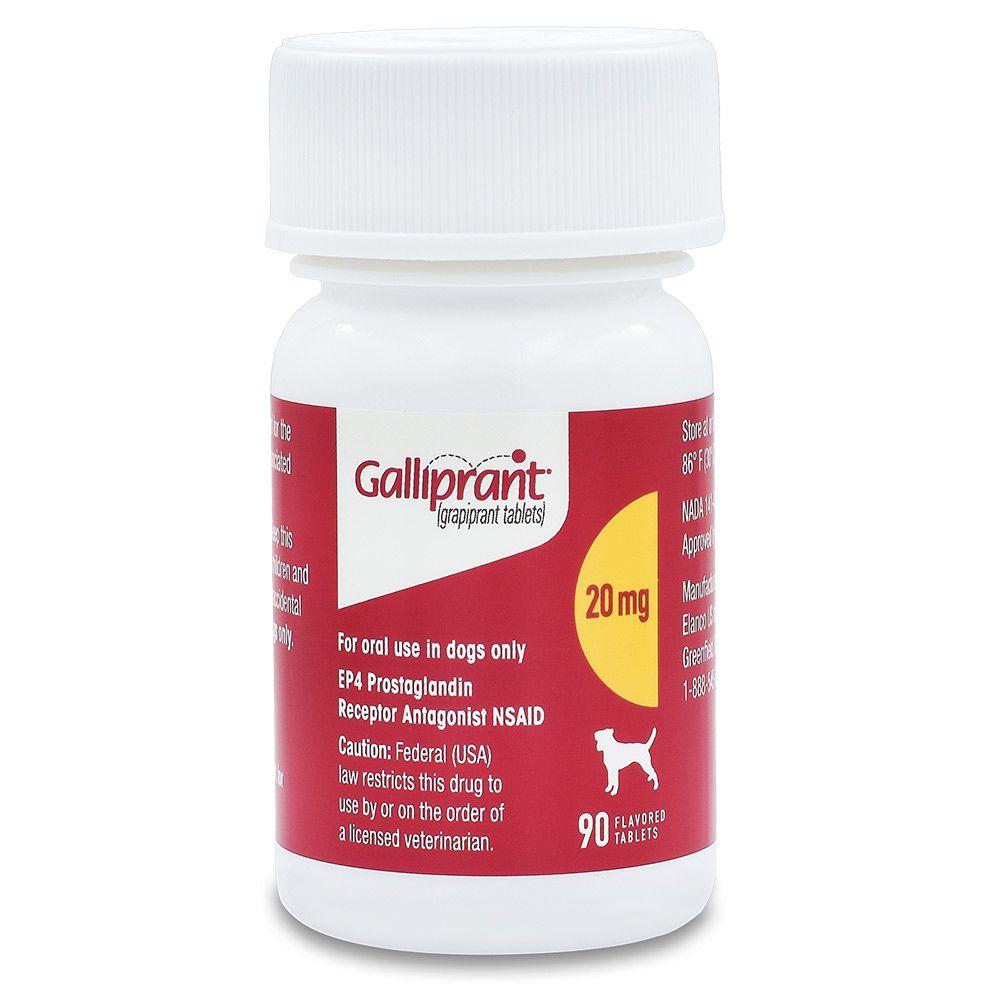 Galliprant (grapiprant) Flavored Tablets – Express Vet