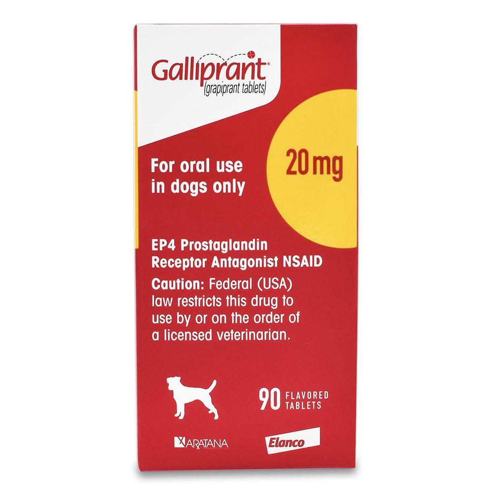 Galliprant (grapiprant) Flavored Tablets – Express Vet