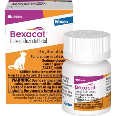 Cat – Express Vet